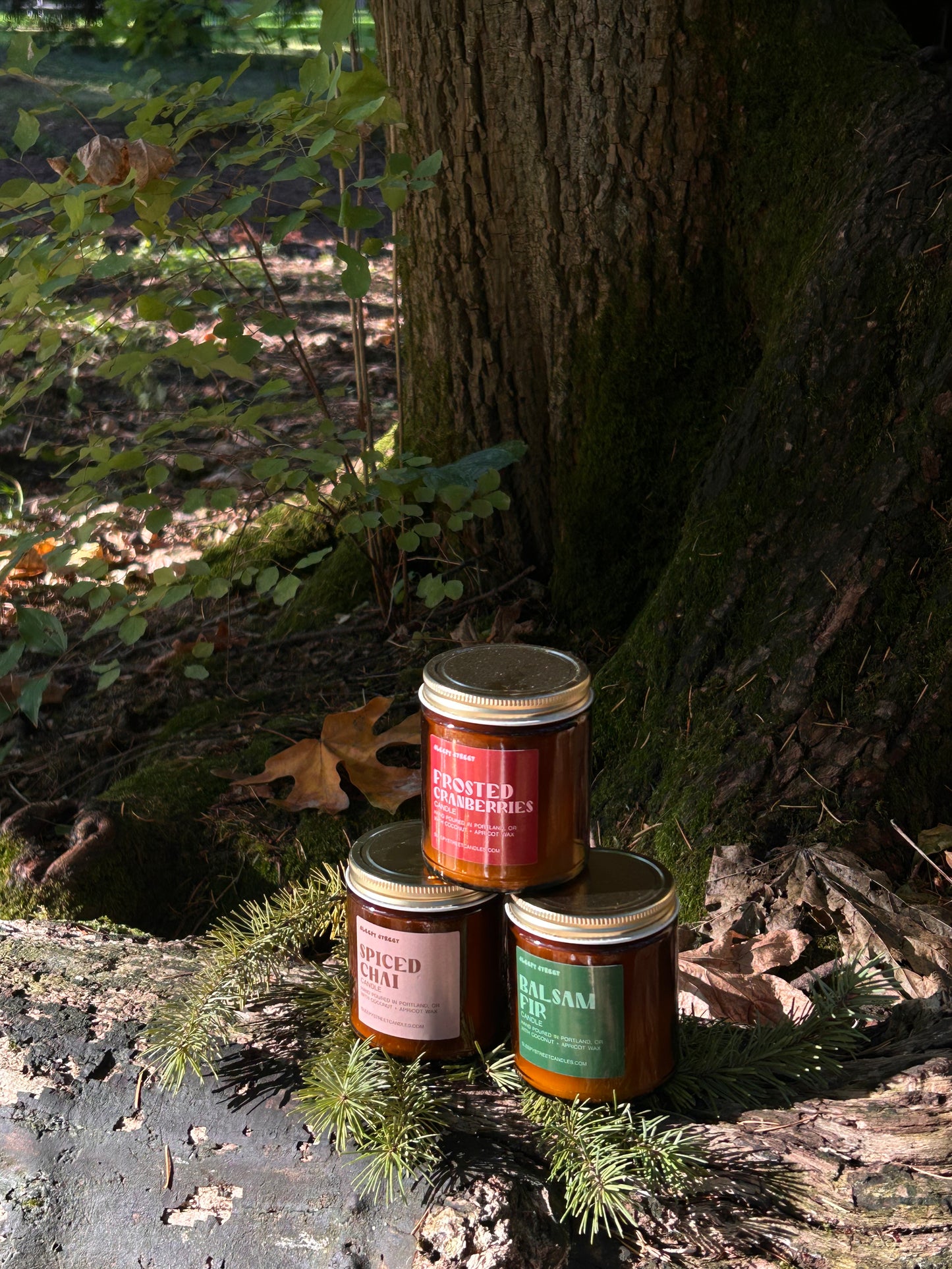 Frosted Cranberries Candle